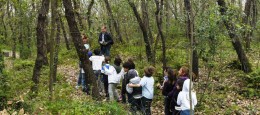 Fiaba nel bosco