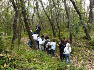 Fiaba nel bosco