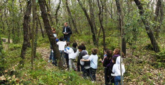 Fiaba nel bosco