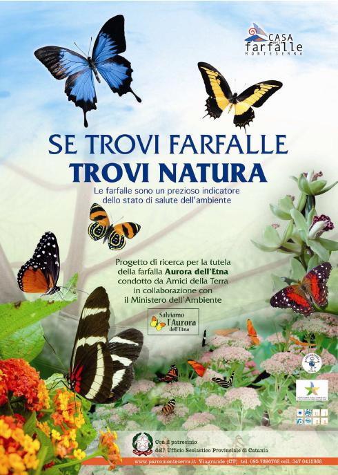 casa_farfalle_copertina_aurora