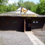 img scuole e gruppi casadellefarfallemonteserra_3
