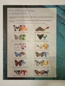 farfalle-zodiaco