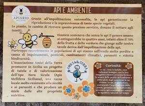 api-ed-ambiente