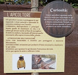 lapicoltore