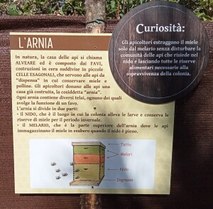 larnia